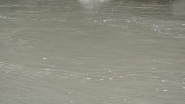 Dağ nehri. Dağ nehrinin akıntısı.