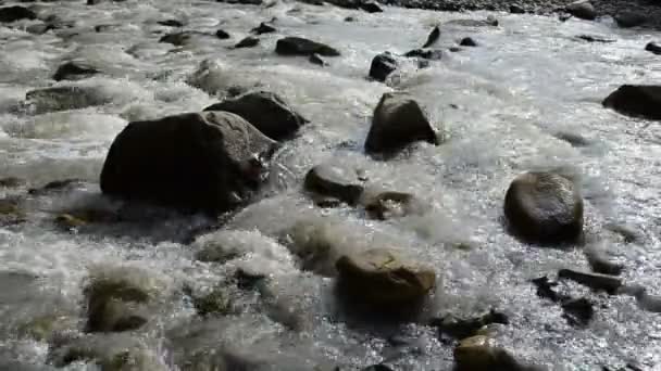 Pedras Rio Montanha Rio Montanha Limiares Fendas — Vídeo de Stock