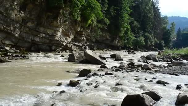 Fiume Montagna Soglie Spaccature Pietre Nel Fiume Montagna — Video Stock