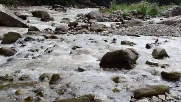 マウンテン川だ 夏の川の撮影 — ストック動画