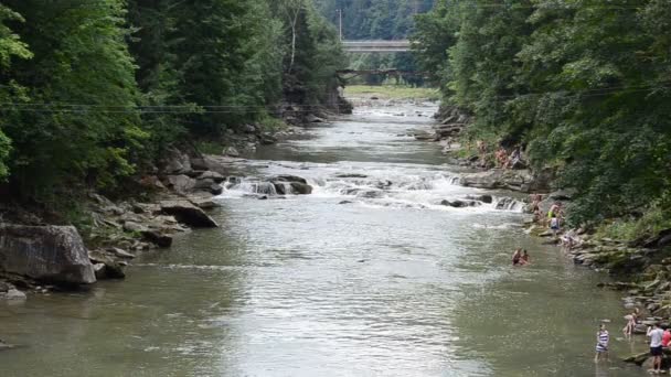 Bergrivier Schieten Van Rivier Zomer — Stockvideo