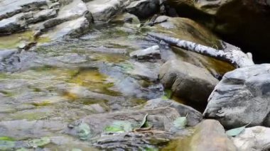 Su ve taşlar. Dağ nehri, yaz