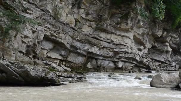 Ορεινό Ποτάμι Σκοποβολή Του Ποταμού Καλοκαίρι — Αρχείο Βίντεο