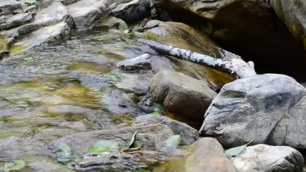 Горная Река Лето Вода Камни — стоковое видео