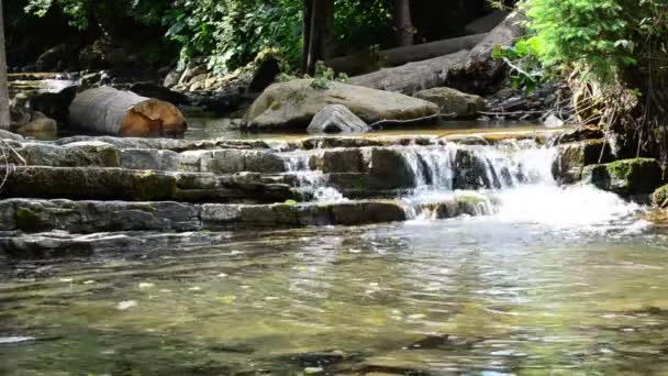 Mountain River Summer Water Stones — Stock Video