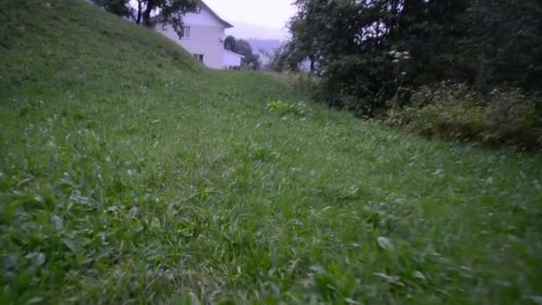 Haus Und Gras Bewegung Auf Dem Rasen Zeitlupe — Stockvideo