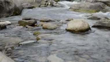 Dağ nehri. Ağır çekim. Dağ nehrindeki akıntı. Dağlarda çekim yapmak.