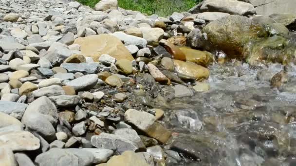 Corriente Río Montaña Disparando Las Montañas Río Montaña Movimiento Lento — Vídeos de Stock