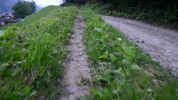 Estrada Nas Montanhas Movimento Lento Grama Nas Montanhas — Vídeo de Stock