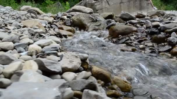 山の川の電流 山の中で撃つ マウンテン川だ スローモーション — ストック動画