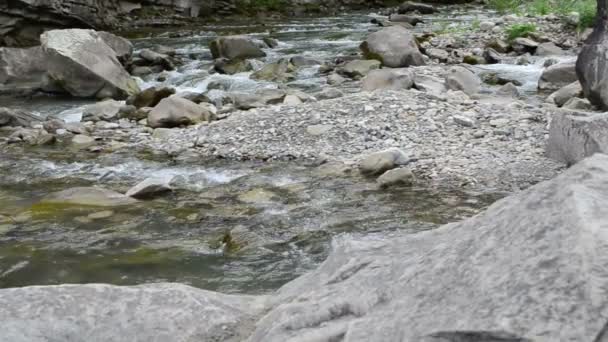 Ορεινό Ποτάμι Αργή Κίνηση Ρεύμα Στο Ποτάμι Του Βουνού Σκοποβολή — Αρχείο Βίντεο