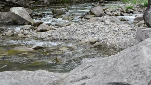 Río Montaña Cámara Lenta Corriente Río Montaña Tiro Las Montañas — Vídeo de stock