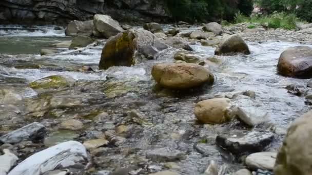 マウンテン川だ スローモーション 山の川の電流 山での射撃 — ストック動画