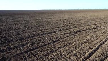 Tarla tarlası, sürülen toprağın vurulması..