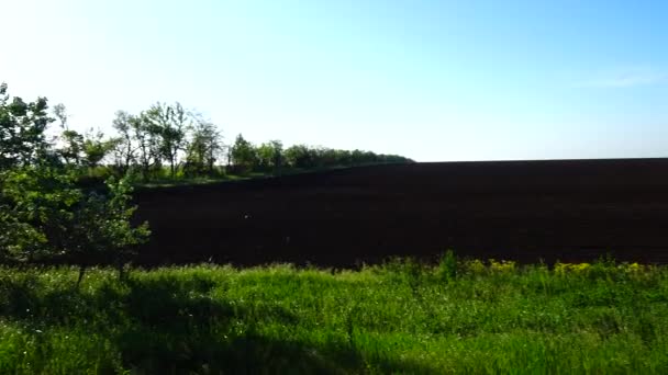 Campo Agrícola Tiro Tierra Arada — Vídeo de stock