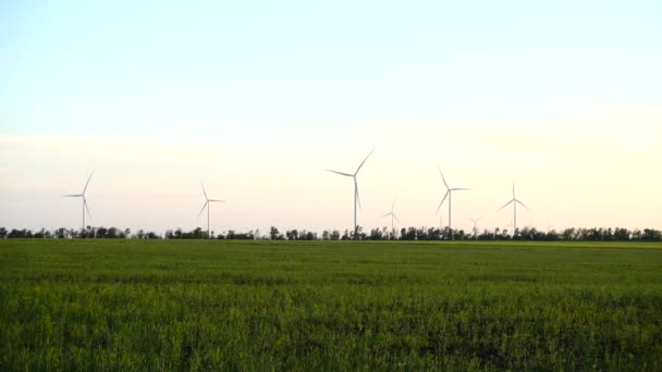 Yel Değirmeni Rüzgar Çiftliği Rüzgar Türbini — Stok video