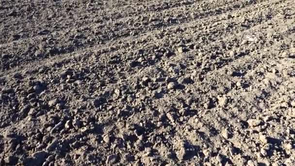 Het Veld Van Landbouw Schieten Van Geploegde Aarde — Stockvideo