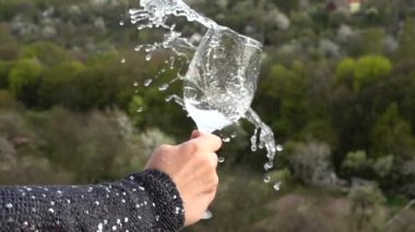 Ağaçların arka planına bir bardak su sıçrat. Yavaş çekim.