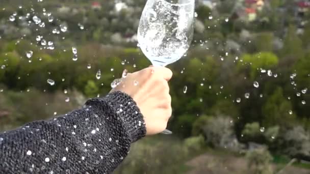 Splash Glass Background Trees Slow Motion — Stock Video