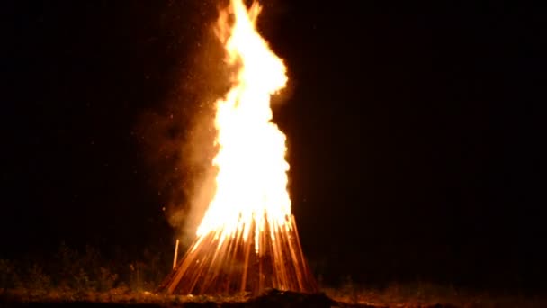 Παγανιστικές Διακοπές Φωτιά Για Τις Διακοπές Του Ivan Kupala Ιούλιος — Αρχείο Βίντεο