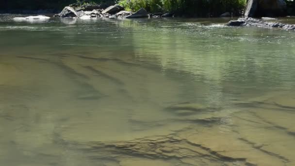 Wilde Natur Gebirgsfluss Schöner Gebirgsfluss — Stockvideo