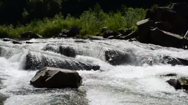 Beautiful Mountain River Wild Nature Mountain River — Stock Video