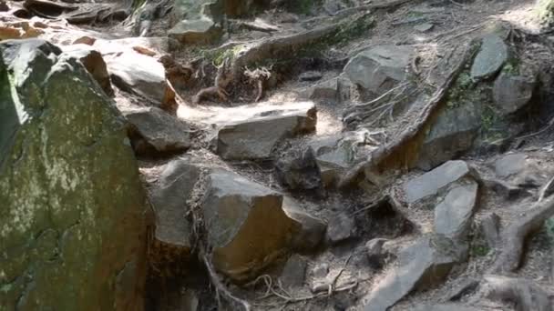 Le mouvement entre les rochers. Rochers dans le bois, tournage en été 