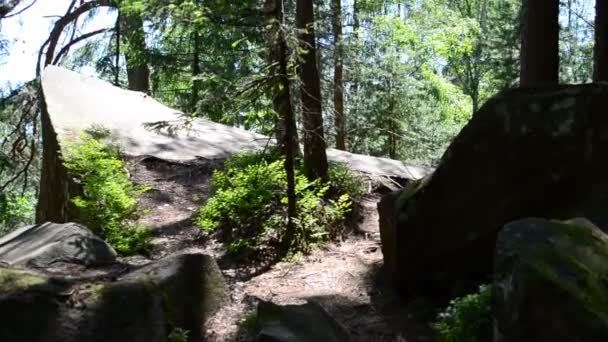 Rochers dans le bois, tournage en été. Le mouvement entre les rochers 