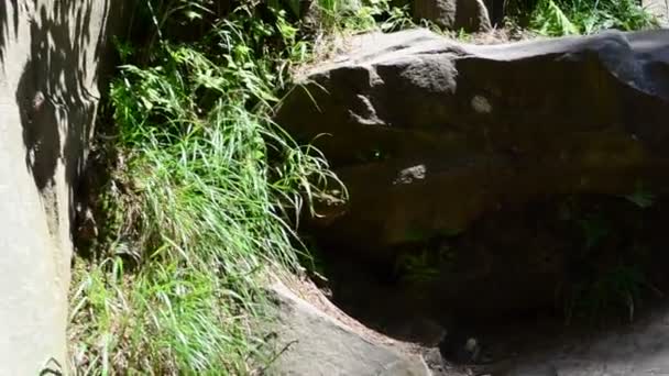 山の中の石や岩 石からの自然なステップ — ストック動画