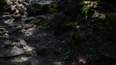 Dağlarda izler. Yaz turizmi