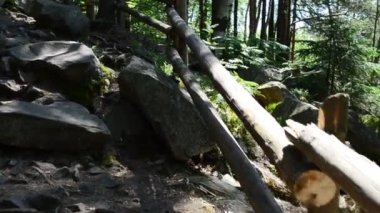 Harekete geçtiler. Dağlardaki ağaçlar