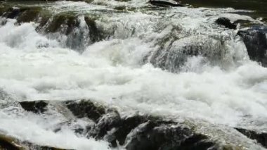 Yazın çekim. Ağır çekim. Dağ nehri ve taşlar.