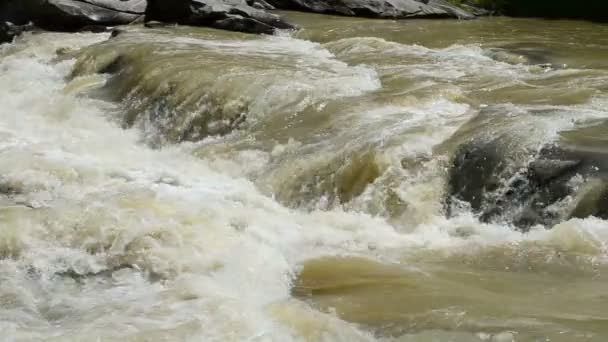 Ορεινό Ποτάμι Αργή Κίνηση Ποταμός Και Πέτρες — Αρχείο Βίντεο
