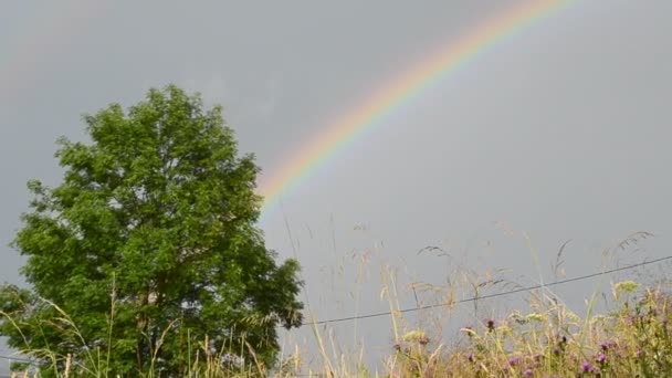 Arc-en-ciel en montagne. Montagnes et arc-en-ciel, tirant après une pluie 