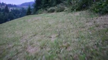 Dağlarda çekim yapmak. Çimenlerde hareket