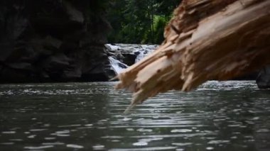 Ağaç devrilmeye karşı. Ağaç ve dağ nehri