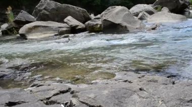 Dağın akıntısı. Dağ nehri