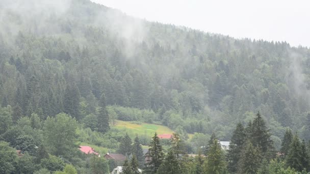 Vapor Depois Uma Chuva Vapor Sobre Montanhas — Vídeo de Stock