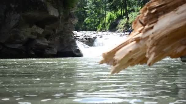 Árbol Río Montaña Árbol Contra Caídas — Vídeo de stock