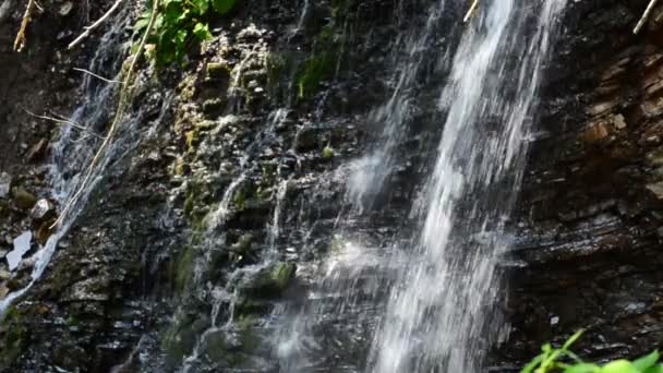 夏の滝 山の中の滝 スローモーション — ストック動画