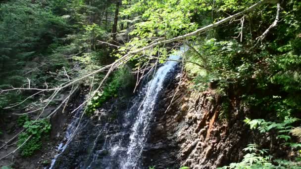 Красивые Водопады Дикие Водопады Горах — стоковое видео