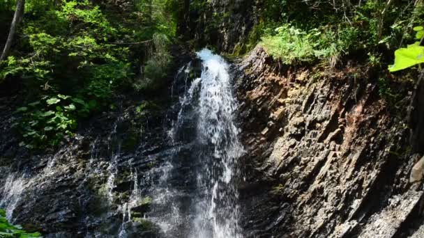 山の中の滝 スローモーション 夏の滝 — ストック動画