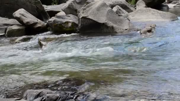 マウンテン川だ スライダーで撃つ 石や川での撮影 — ストック動画