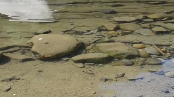 Tournage Fond Rivière Montagne Prise Vue Avec Direction — Video