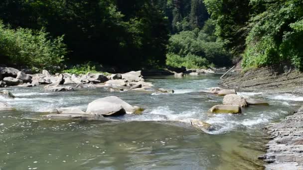 Schneller Gebirgsfluss Wasserfälle Und Gräben Des Gebirgsflusses — Stockvideo