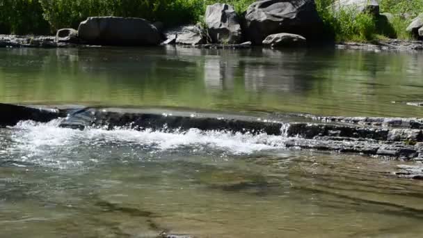 Agua Piedras Río Montaña Paisaje Montaña Río — Vídeo de stock