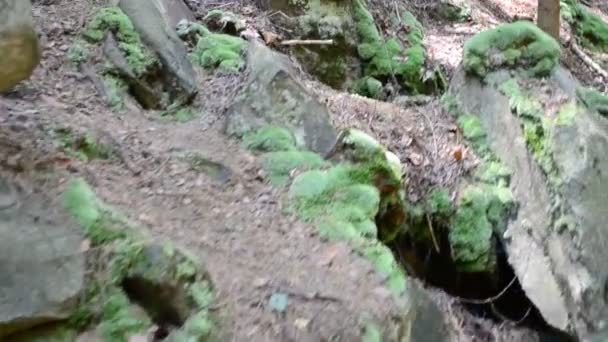Rochers dans le bois, tournage en été. Le mouvement entre les rochers 