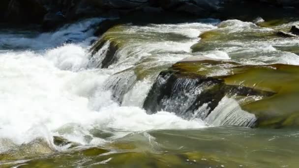Mountain River Stones Slow Motion Shooting Summer — Stock Video