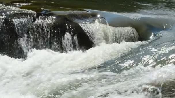 Dağ Nehri Taşlar Ağır Çekim Yazın Çekim — Stok video