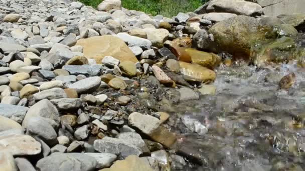 Dağlarda Çekim Yapmak Dağ Nehri — Stok video